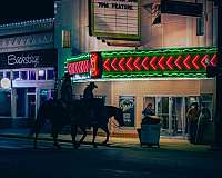 barrel-quarter-horse