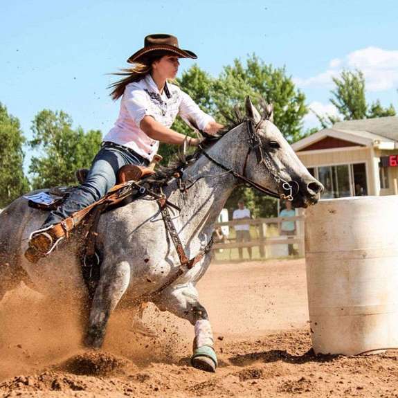 What Types of Horses Barrel Race? Barrel Racing Horses