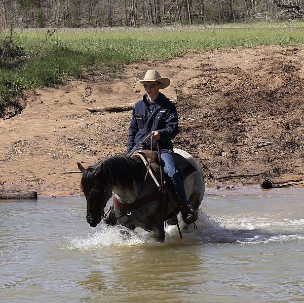 calf-roping-quarter-horse