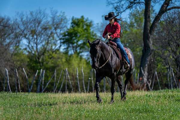 calf-roping-quarter-horse