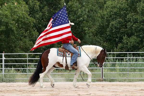 jumping-gypsy-vanner-horse