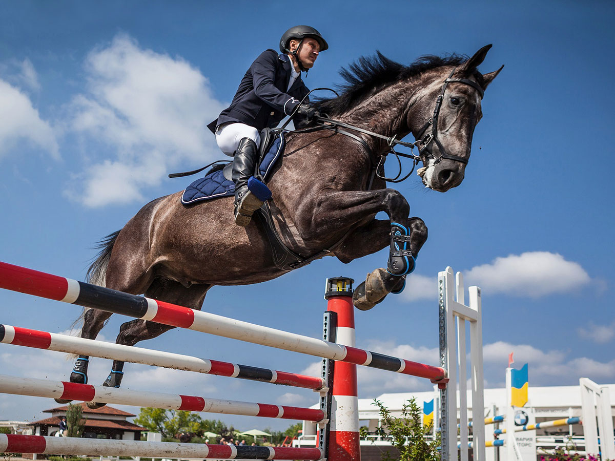 About Jumping Horses Jumping Horses