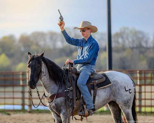 performance-quarter-horse
