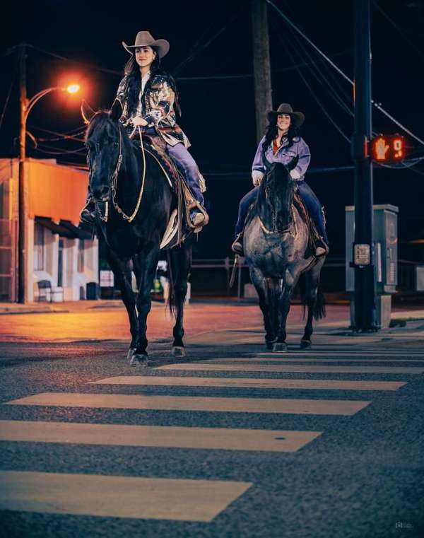 ranch-versatility-quarter-horse