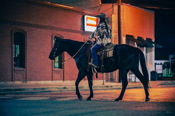 ranch-work-quarter-horse