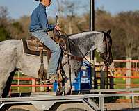 roping-quarter-horse