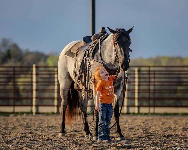 show-quarter-horse