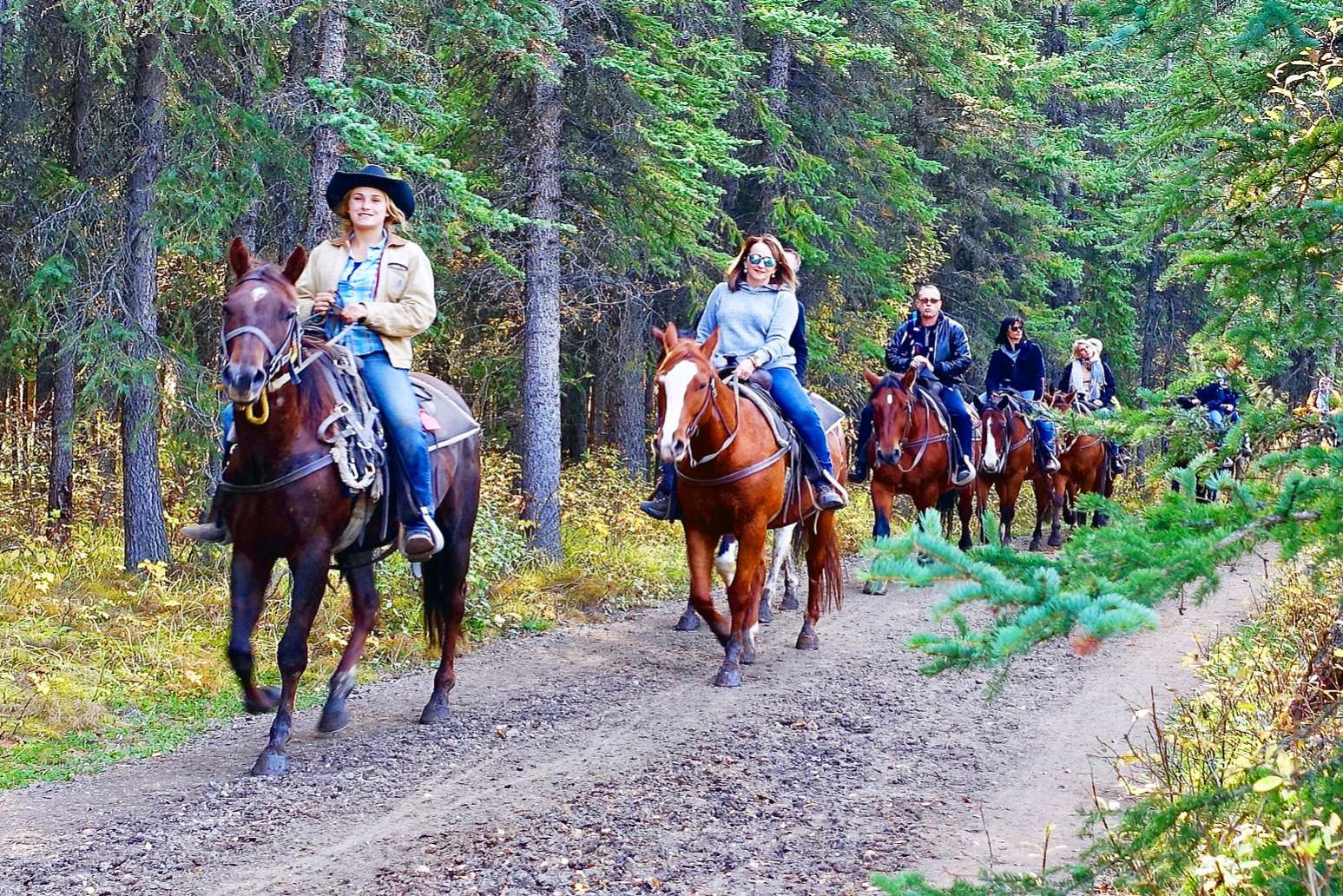 Just Looking To Go Horseback Riding? Trail Riding Horses